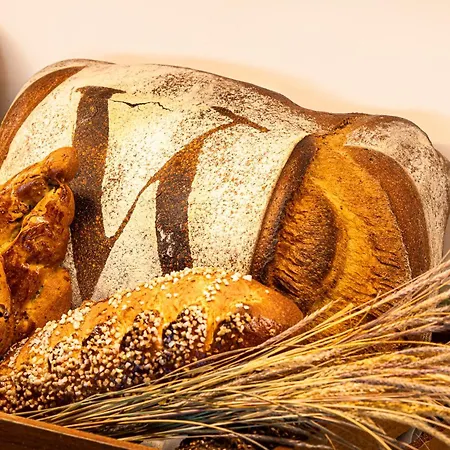 & Version Maquis Citadelle