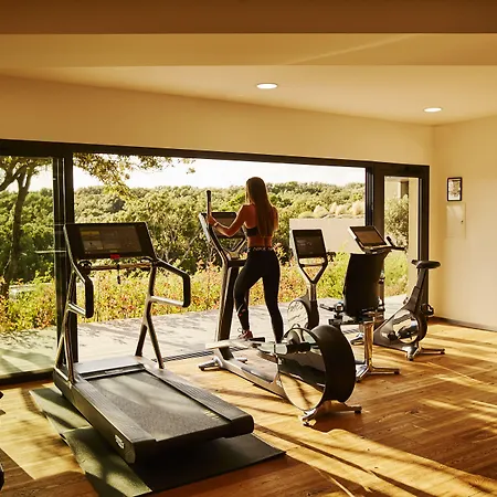 & Version Maquis Citadelle