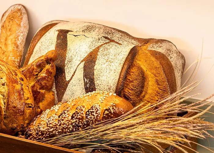 Hôtel&spa Version Maquis Citadelle